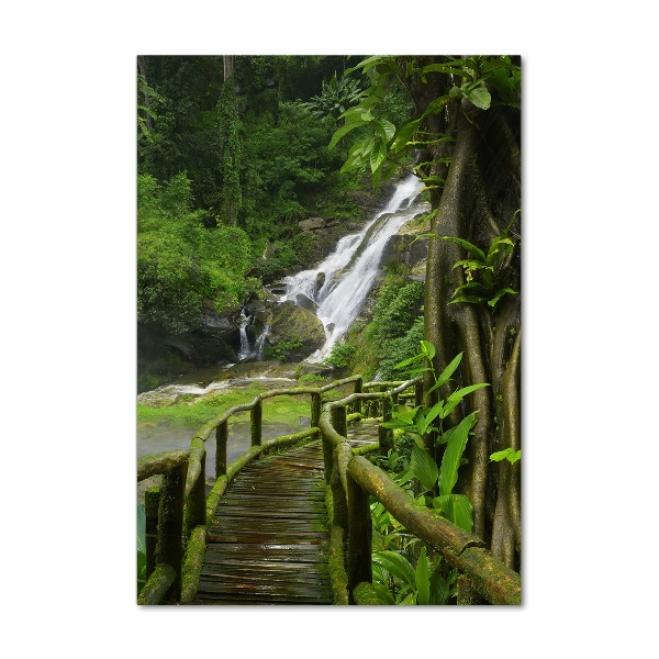 Wall art acrylic Path in the jungle