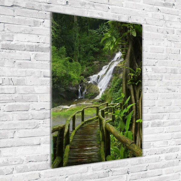 Wall art acrylic Path in the jungle