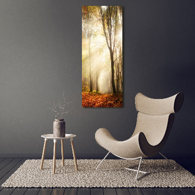 Print on acrylic Forest in autumn