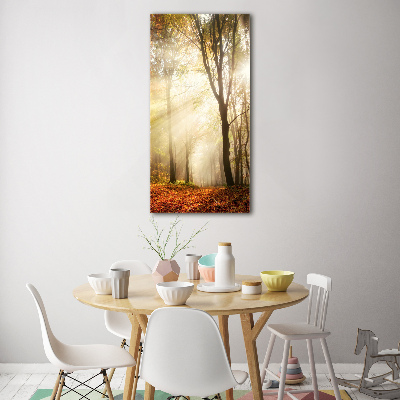 Print on acrylic Forest in autumn