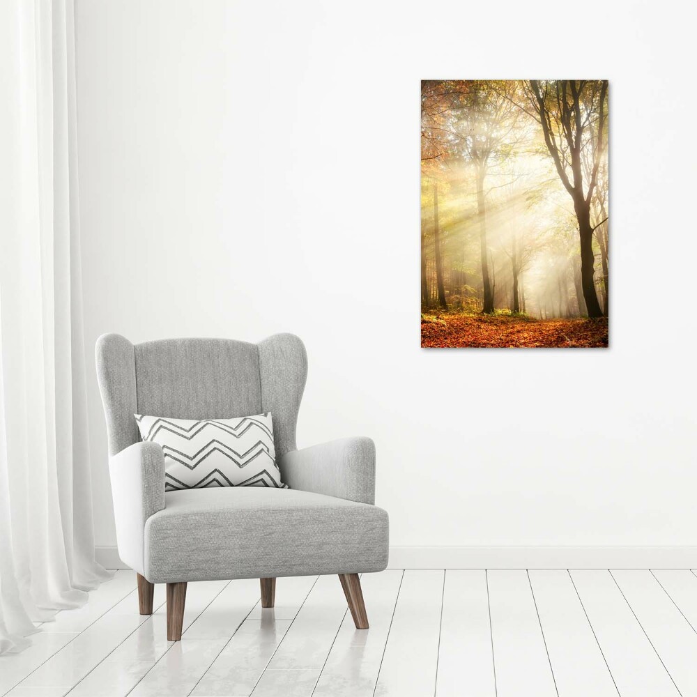 Print on acrylic Forest in autumn