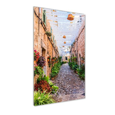 Acrylic wall art Majorca Spain