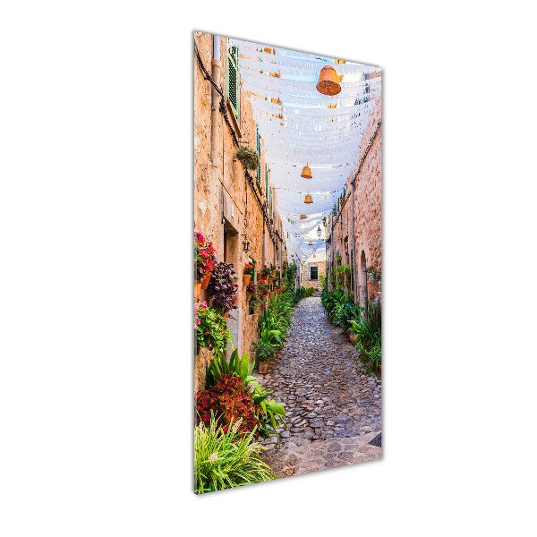 Acrylic wall art Majorca Spain