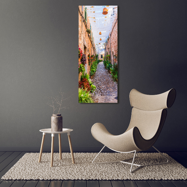 Acrylic wall art Majorca Spain