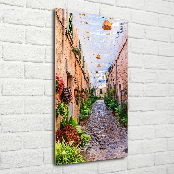 Acrylic wall art Majorca Spain