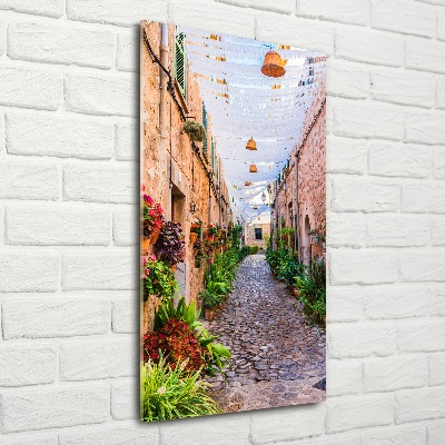 Acrylic wall art Majorca Spain