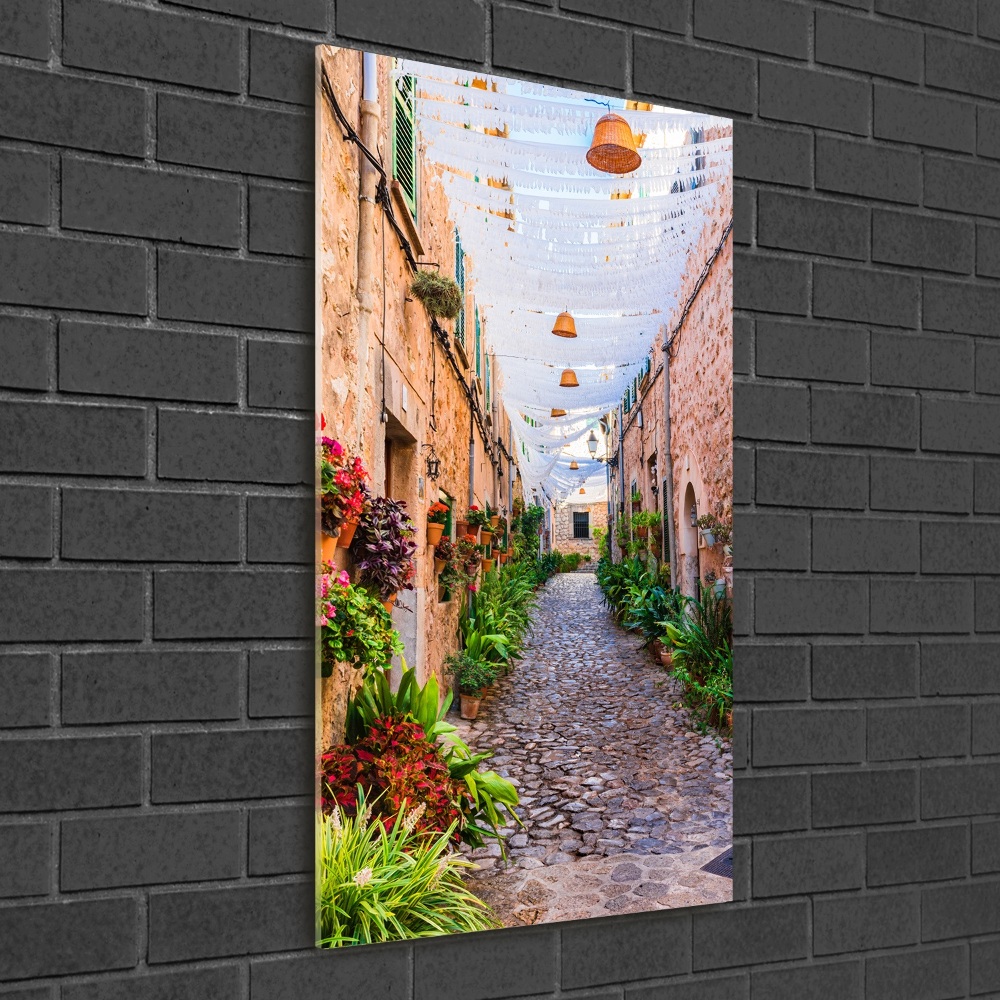 Acrylic wall art Majorca Spain