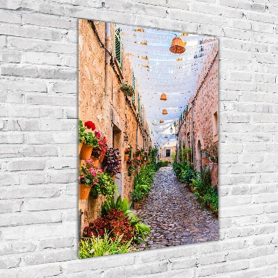 Acrylic wall art Majorca Spain