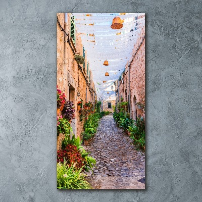 Acrylic wall art Majorca Spain