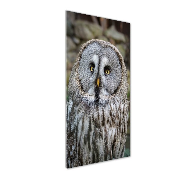 Wall art acrylic Owl