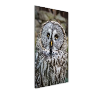 Wall art acrylic Owl