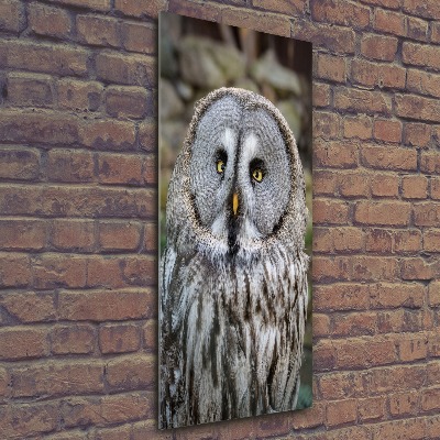 Wall art acrylic Owl