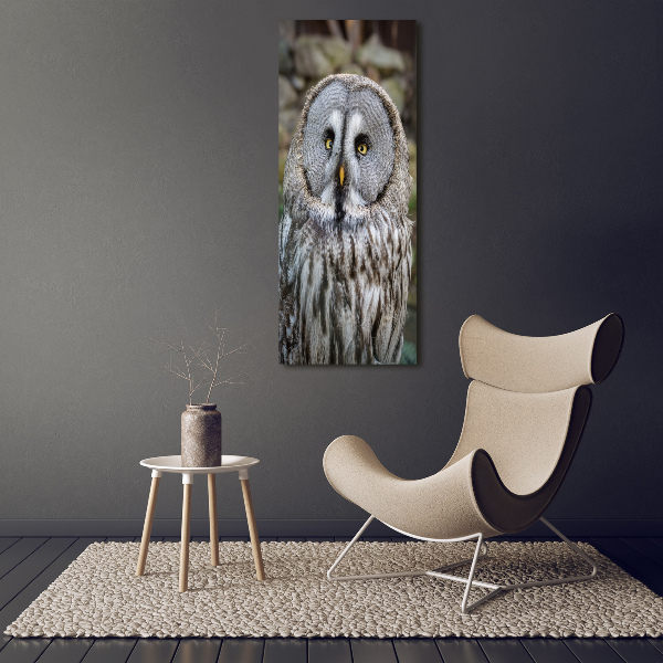 Wall art acrylic Owl