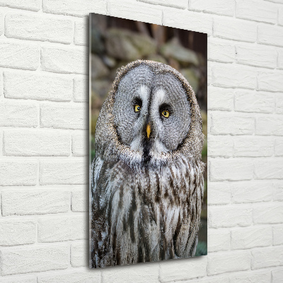 Wall art acrylic Owl