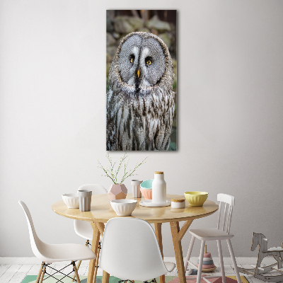 Wall art acrylic Owl