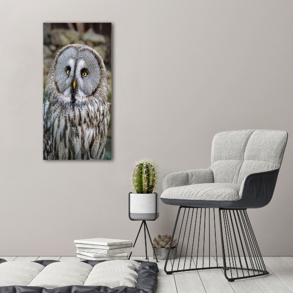 Wall art acrylic Owl