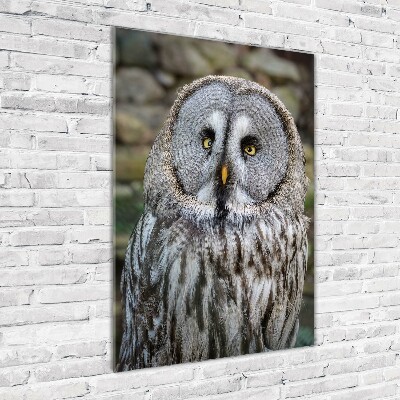 Wall art acrylic Owl