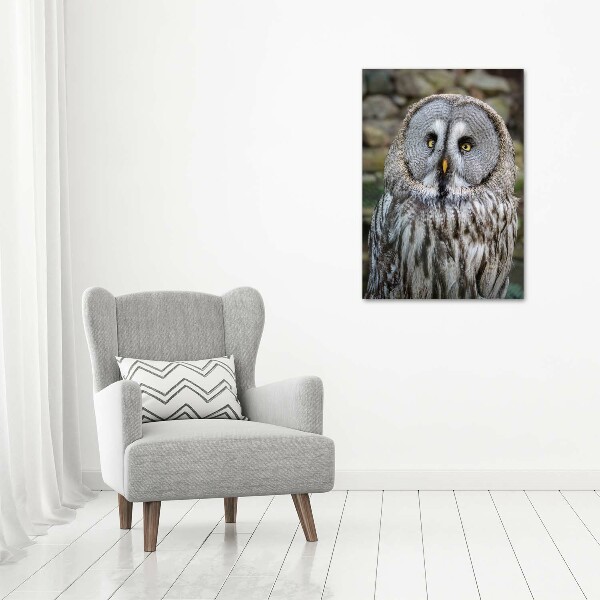 Wall art acrylic Owl