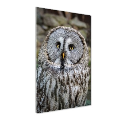 Wall art acrylic Owl