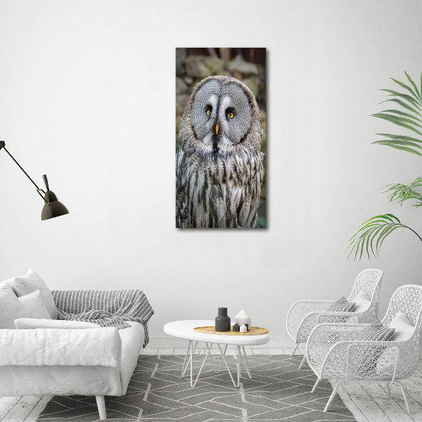 Wall art acrylic Owl