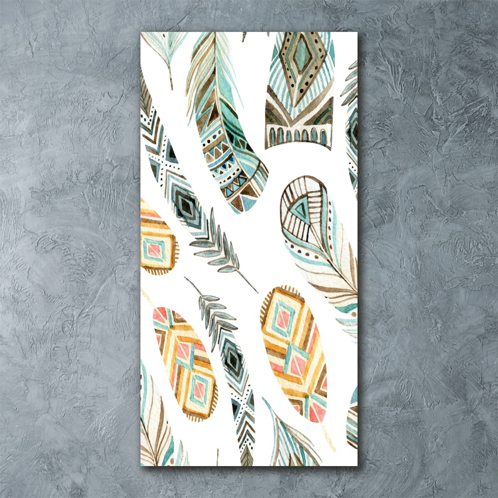 Acrylic wall art Ethnic feathers