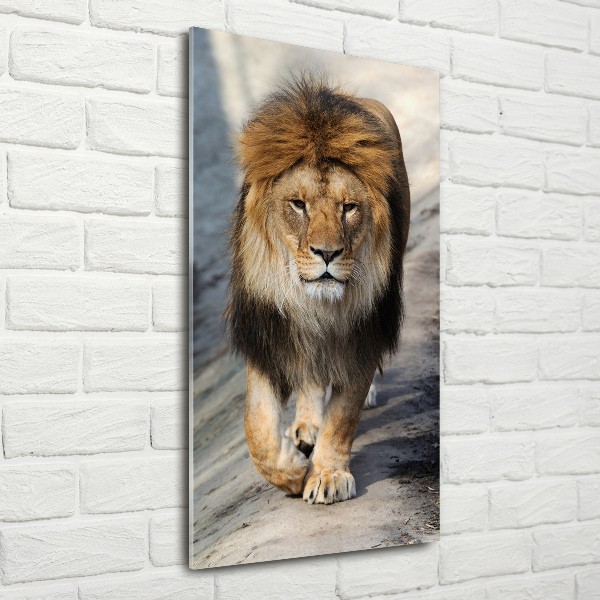 Acrylic wall art Lion