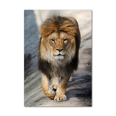 Acrylic wall art Lion