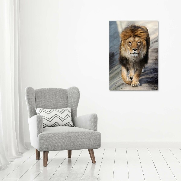 Acrylic wall art Lion