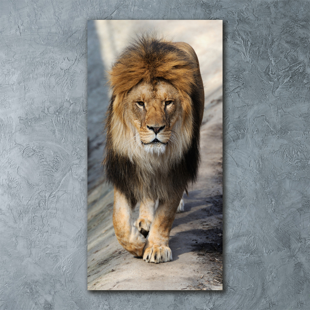 Acrylic wall art Lion