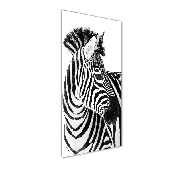 Acrylic wall art Zebra in the snow