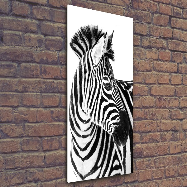 Acrylic wall art Zebra in the snow