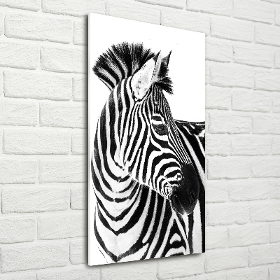 Acrylic wall art Zebra in the snow