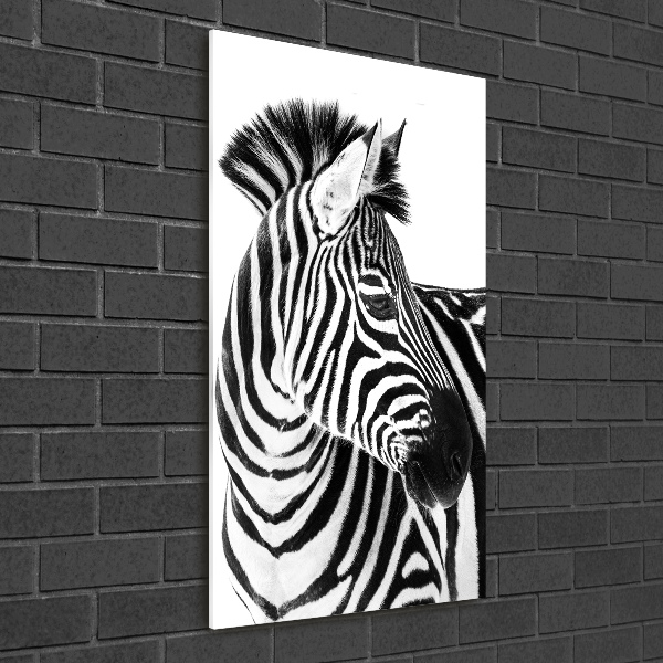 Acrylic wall art Zebra in the snow