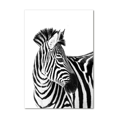 Acrylic wall art Zebra in the snow