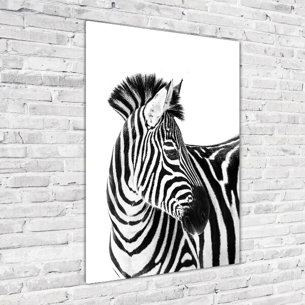 Acrylic wall art Zebra in the snow