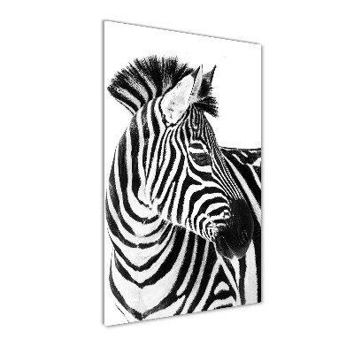 Acrylic wall art Zebra in the snow