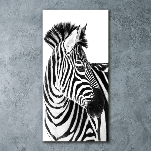 Acrylic wall art Zebra in the snow