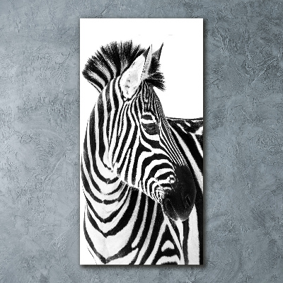 Acrylic wall art Zebra in the snow