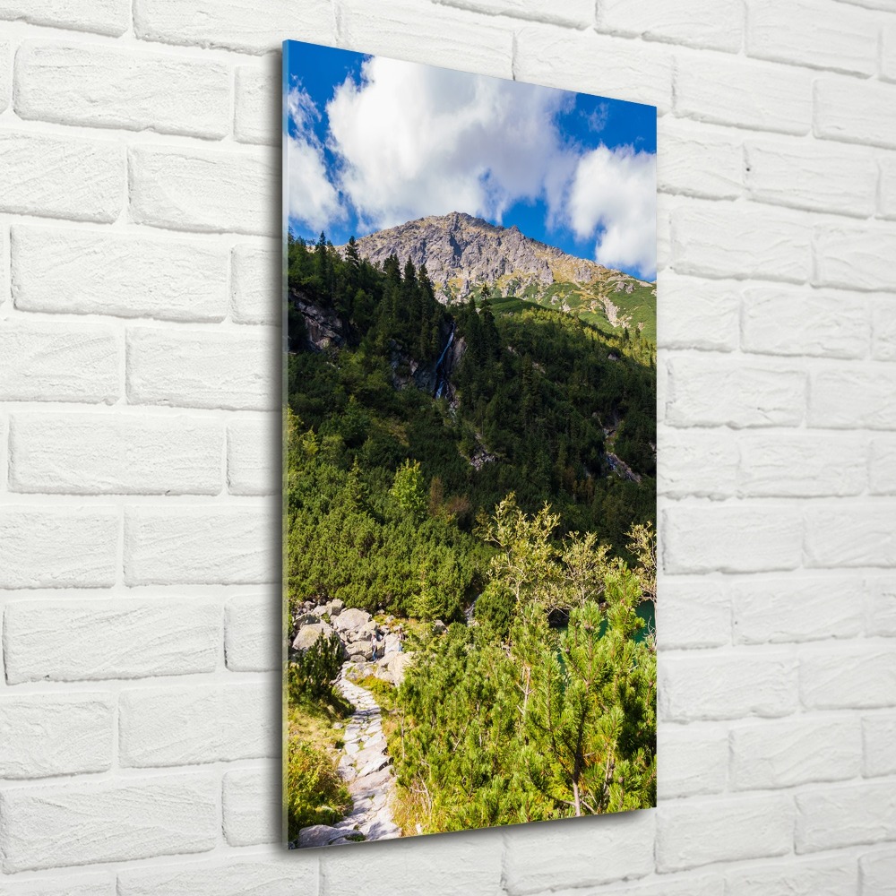 Acrylic wall art Morskie Oko Tatry