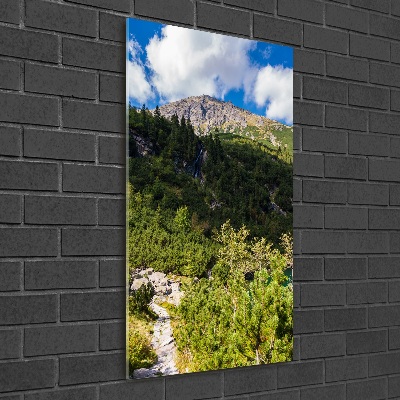 Acrylic wall art Morskie Oko Tatry