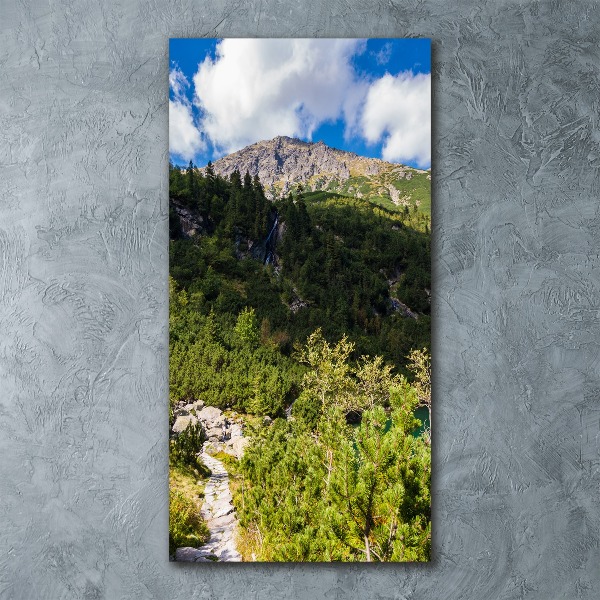 Acrylic wall art Morskie Oko Tatry