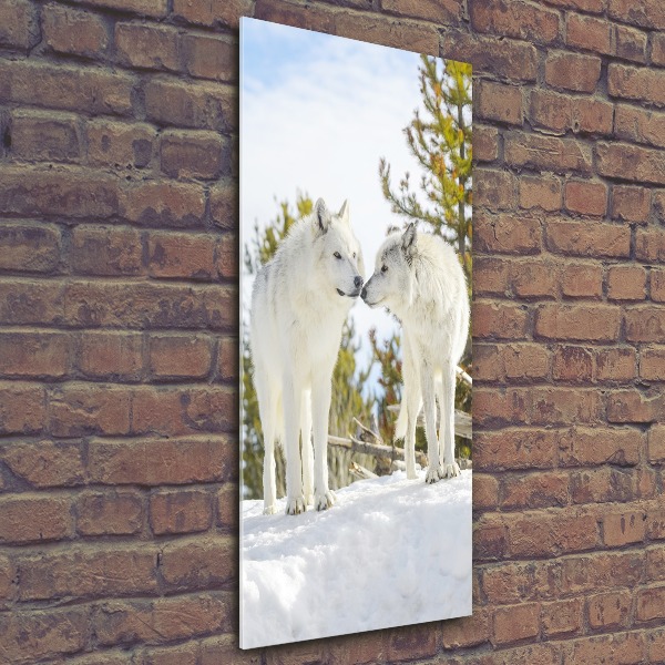 Print on acrylic Two white wolves