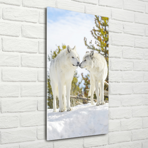 Print on acrylic Two white wolves