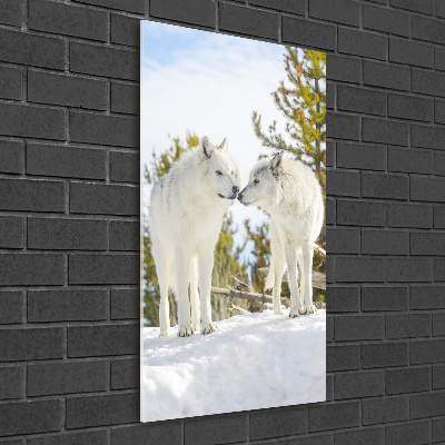 Print on acrylic Two white wolves