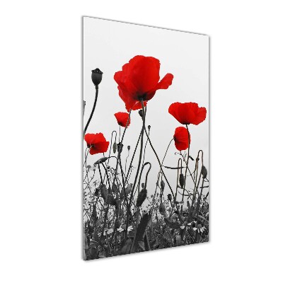 Wall art acrylic Field poppies