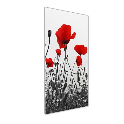 Wall art acrylic Field poppies