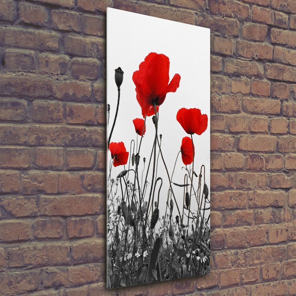 Wall art acrylic Field poppies