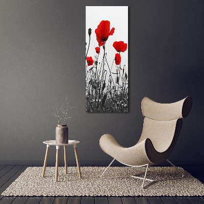 Wall art acrylic Field poppies