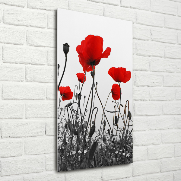 Wall art acrylic Field poppies