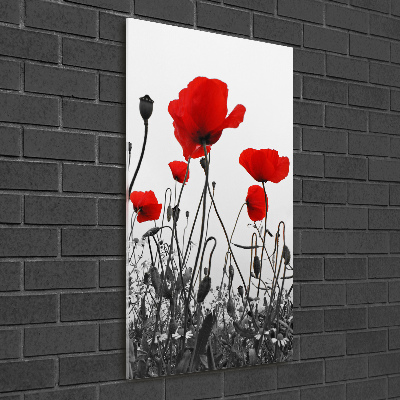 Wall art acrylic Field poppies